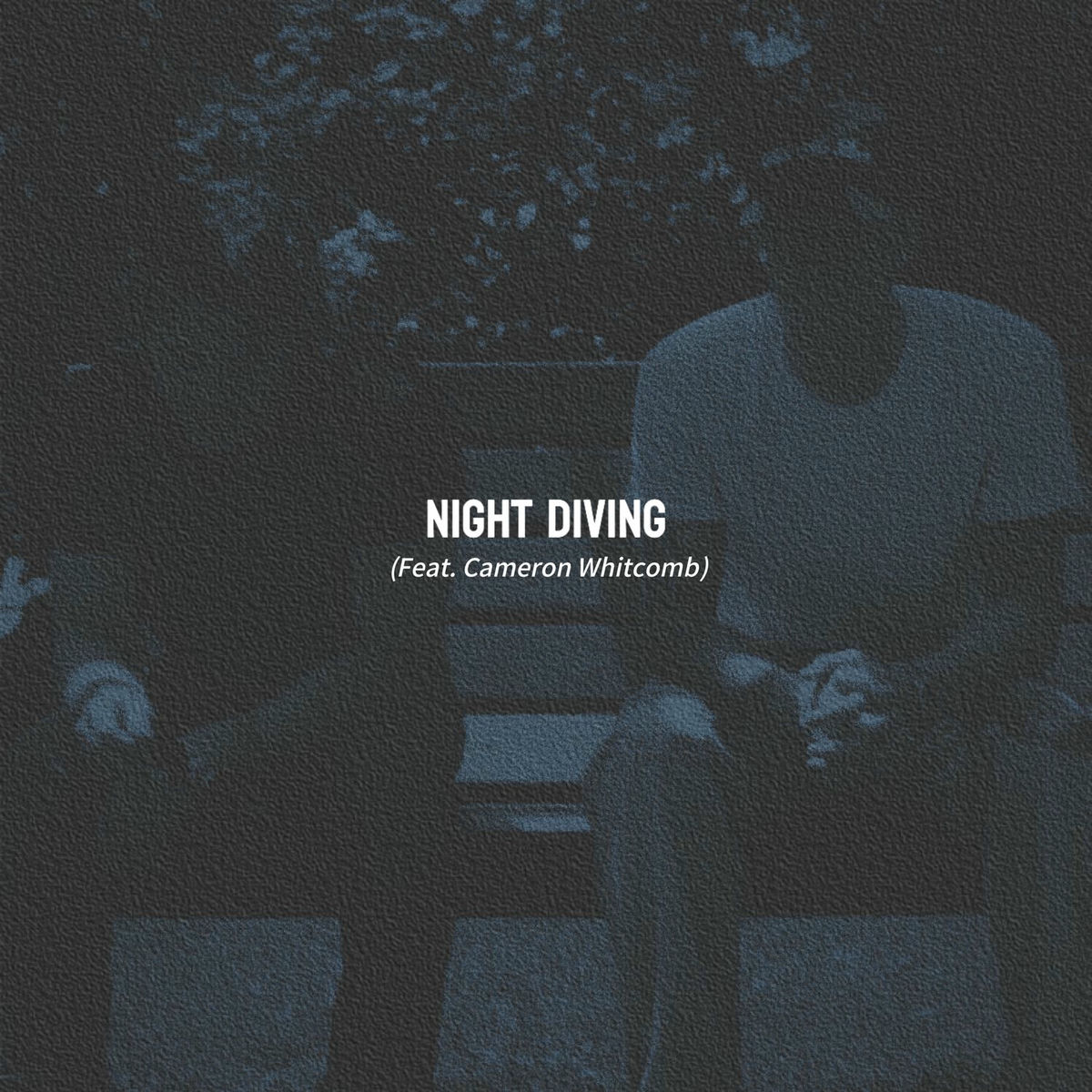 Album cover of Night Diving (feat. Cameron Whitcomb)