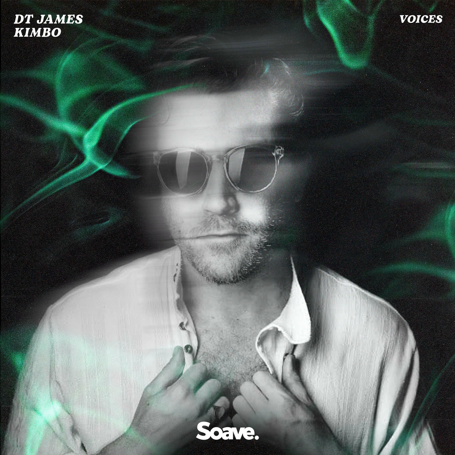 Album cover of Voices