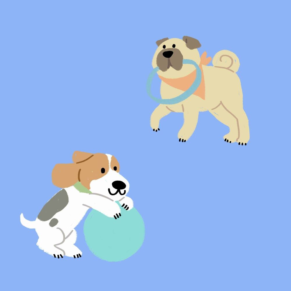 Picture of Backdrop for Doggies Relaxing