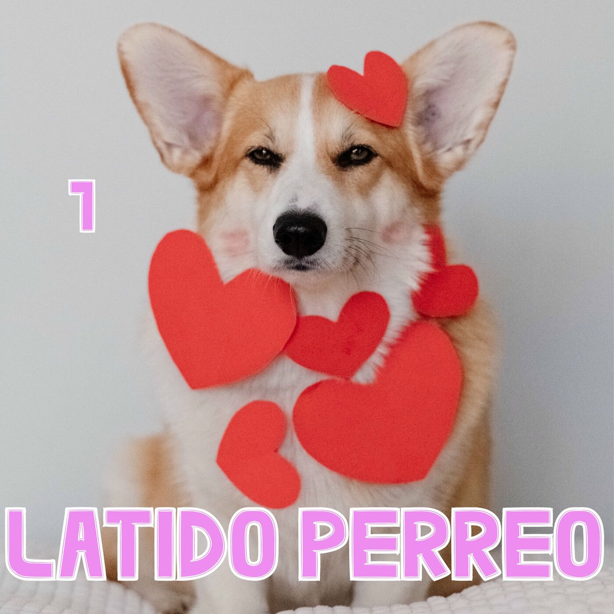 Album cover of Latido Perreo Vol. 1