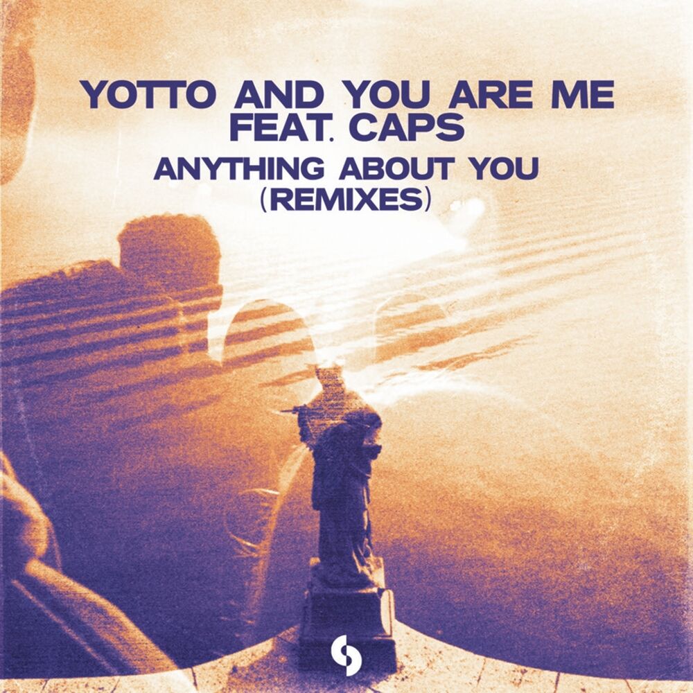 Picture of Anything About You (Remixes)