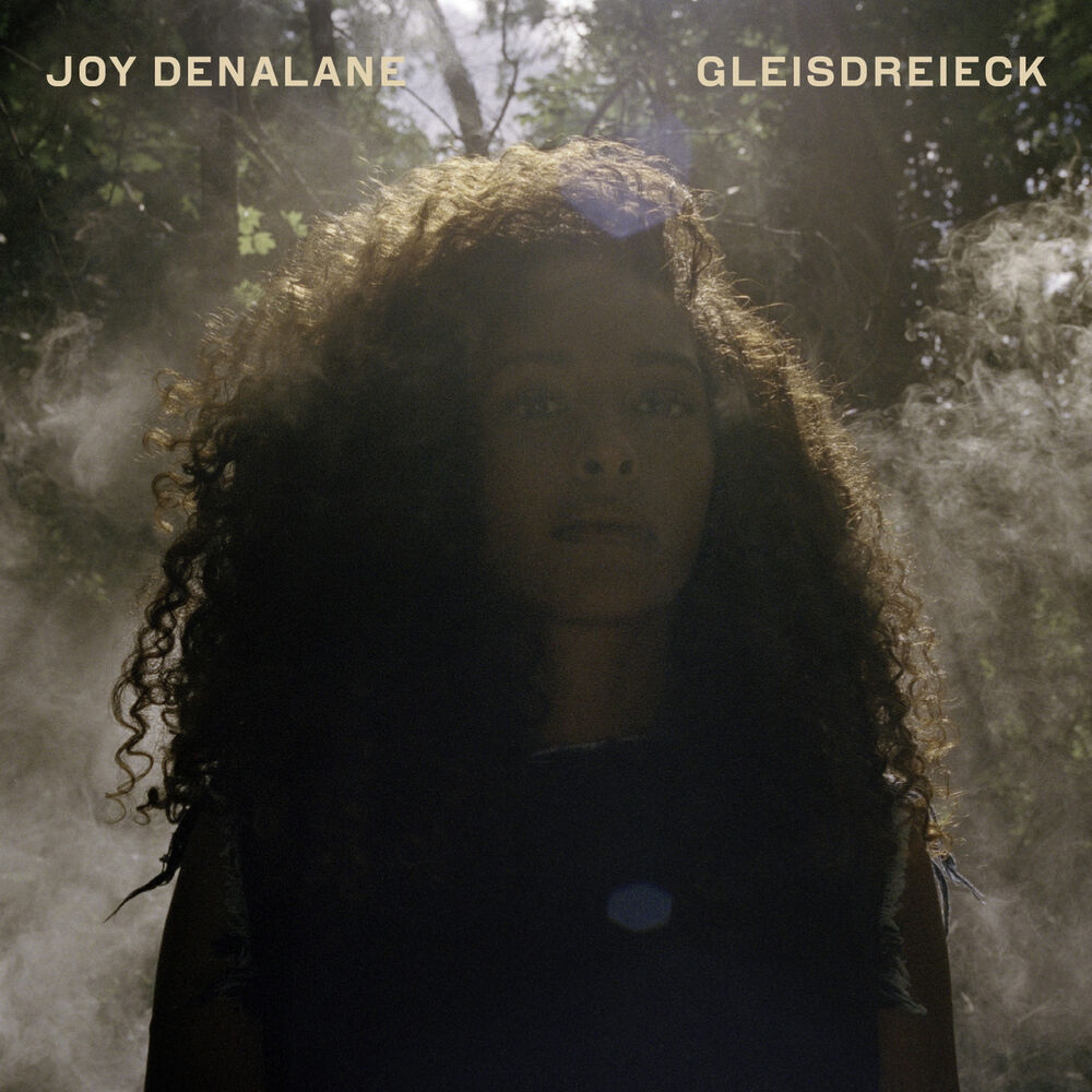 Picture of Gleisdreieck (Deluxe Edition)