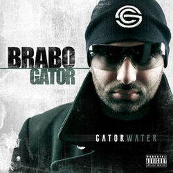 Cover of Gator Water
