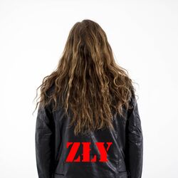 Cover of Zły