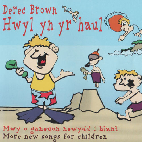 Hwyl Yn Yr Haul sleeve
