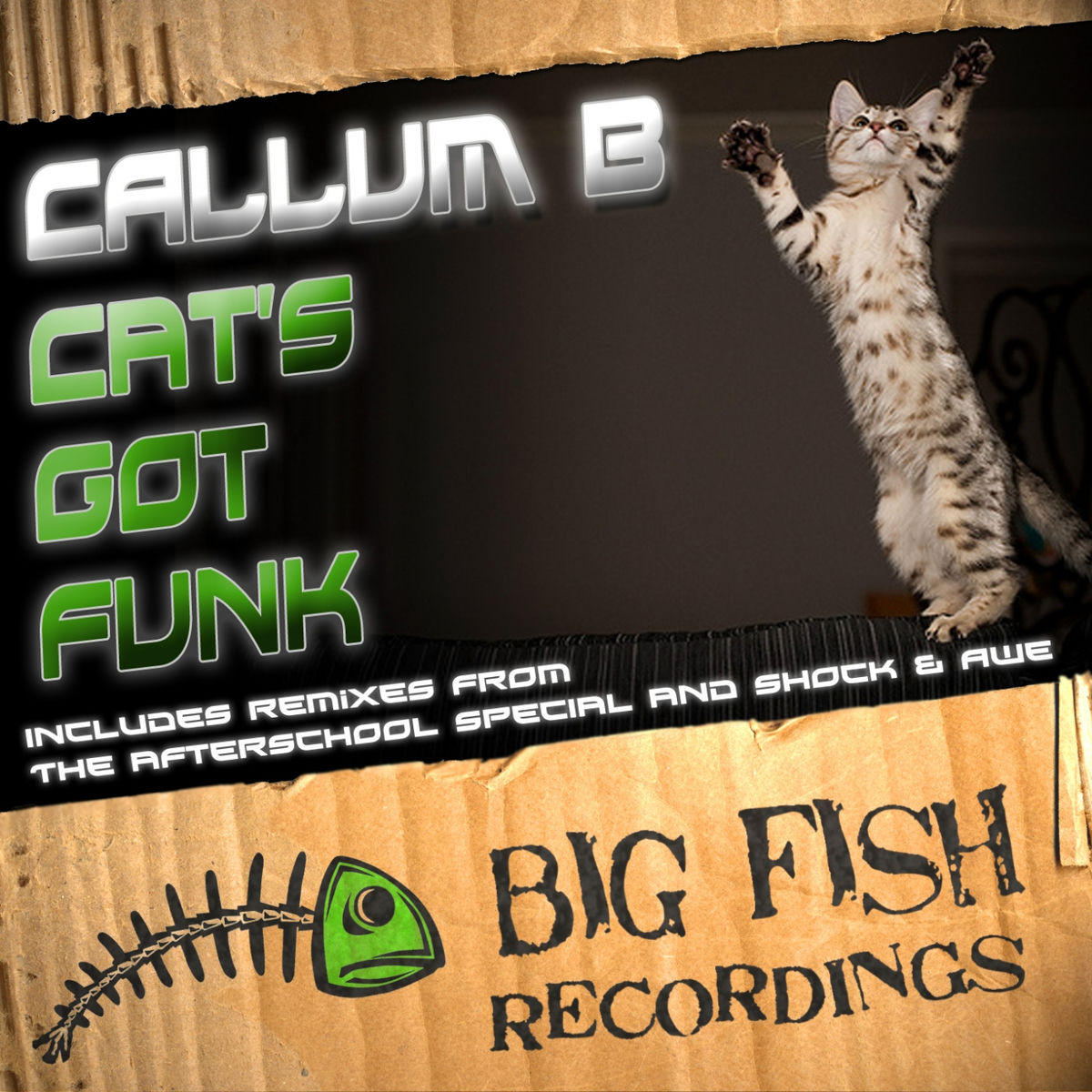 Album cover of Cat's Got Funk