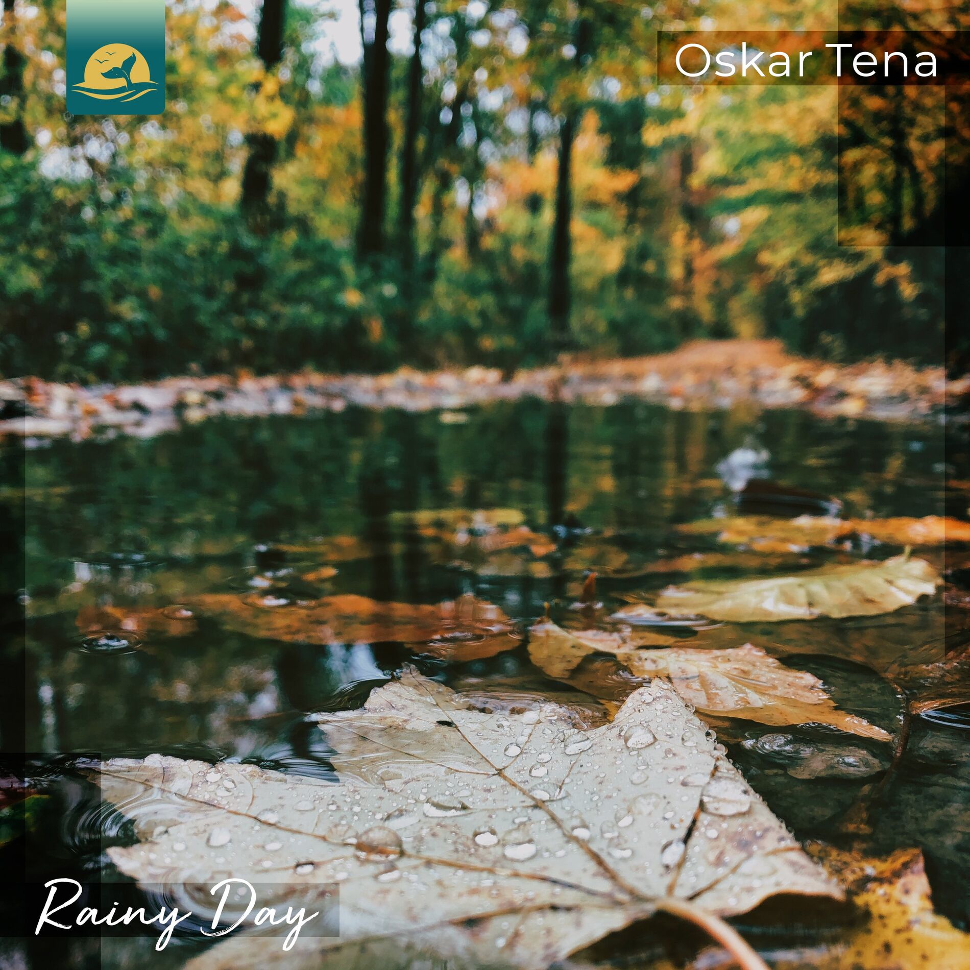 Album cover of Rainy Day