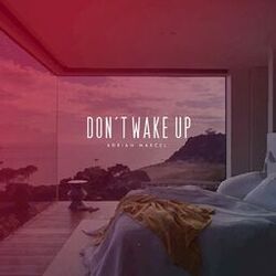 Cover of Dont Wake Up
