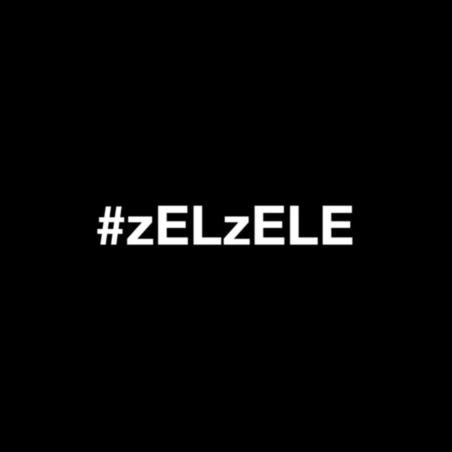 Album cover of #zELzELE