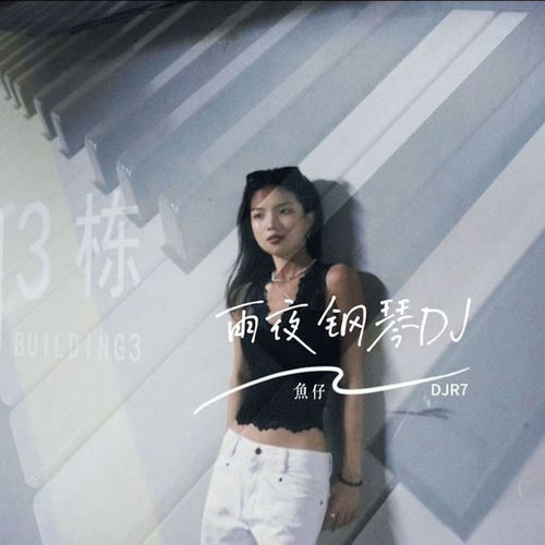 雨夜钢琴 (DJ版防城港进行曲)