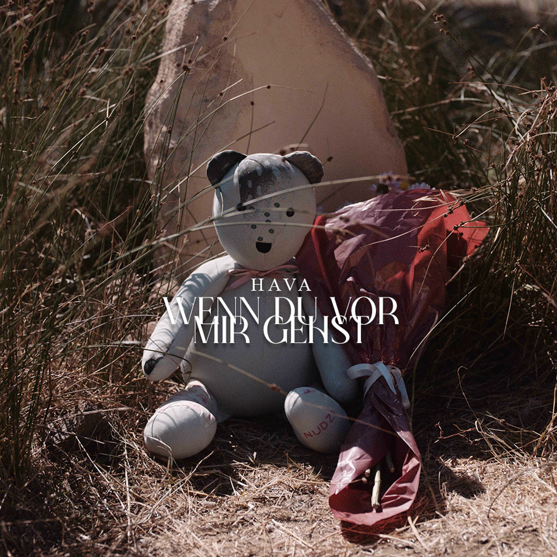 Album cover of Wenn du vor mir gehst