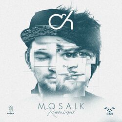 Cover of MOSAIK REMIXED