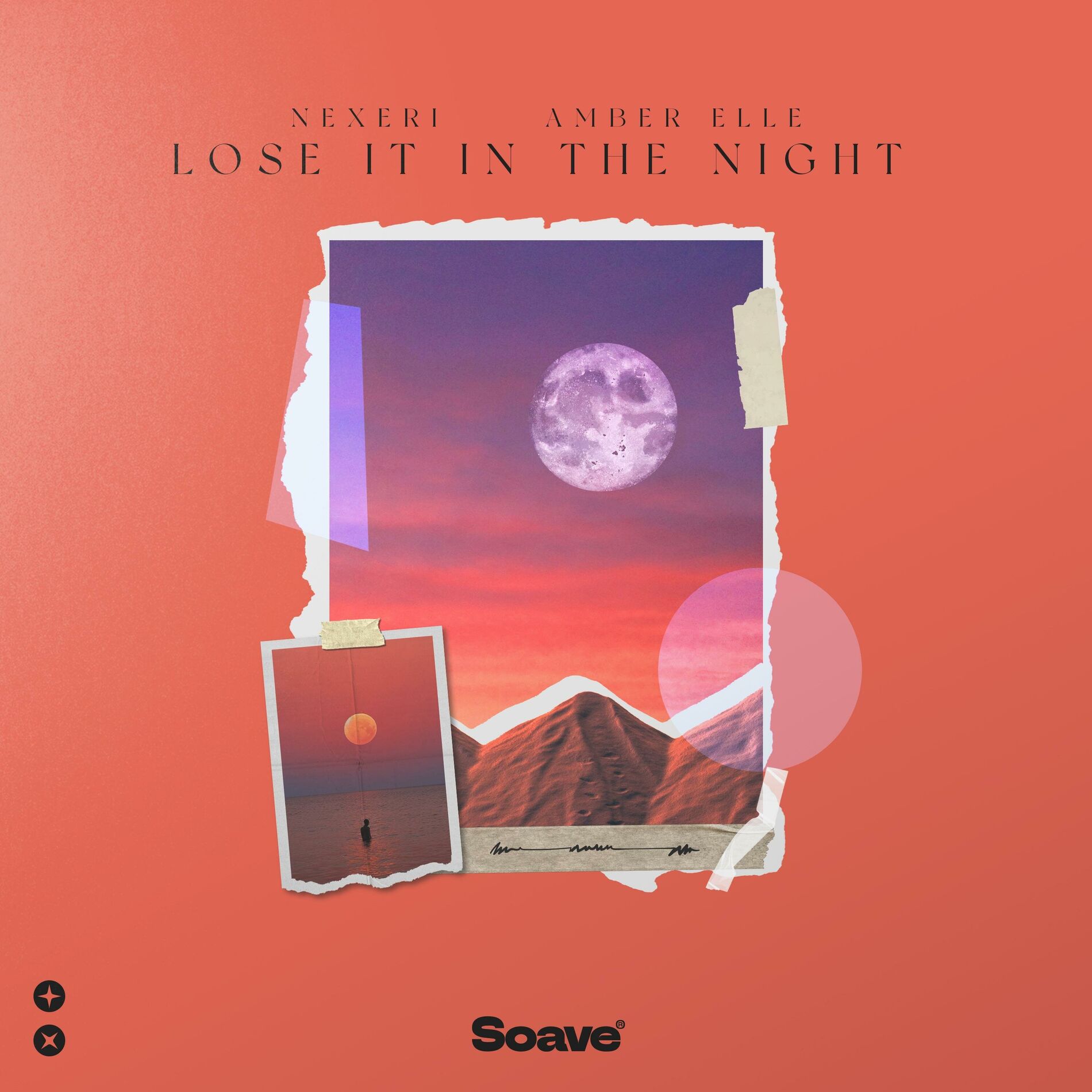 Album cover of Lose It In The Night