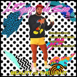 Cover of Beauty Is The Light