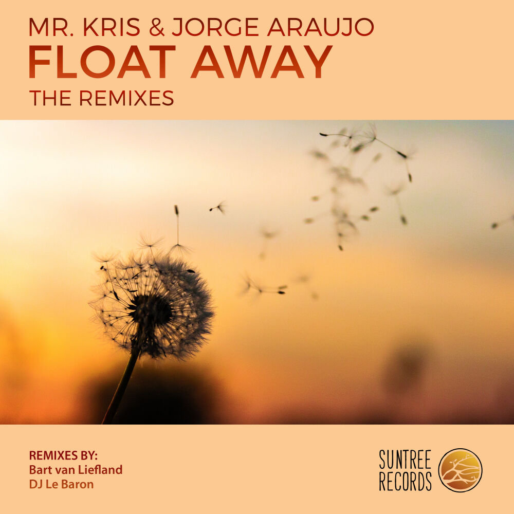 Picture of Float Away (The Remixes)
