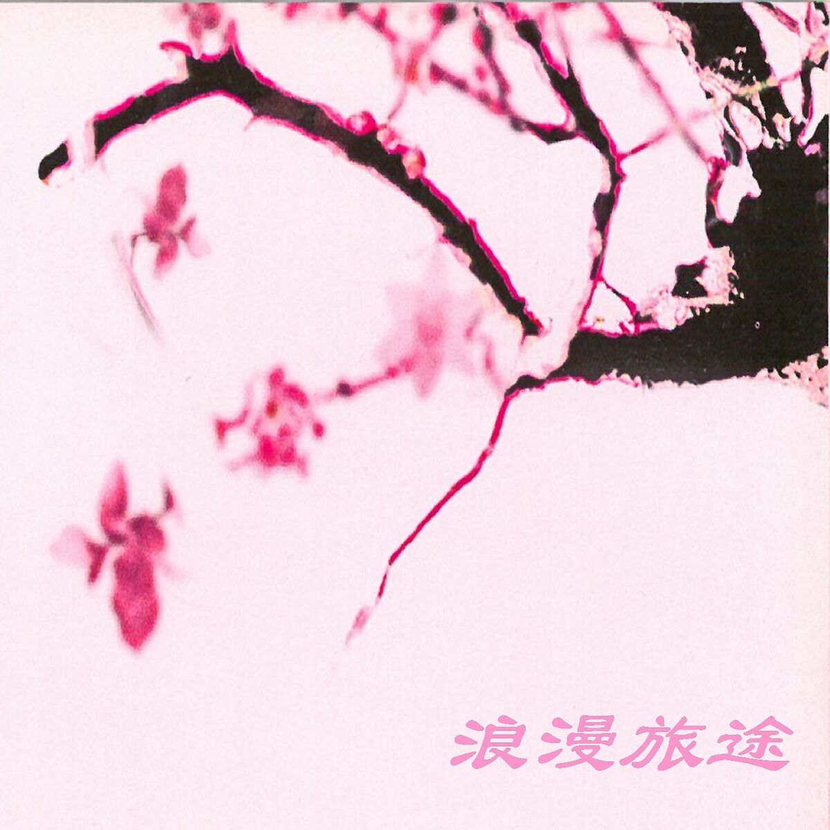 Album cover of 浪漫旅途