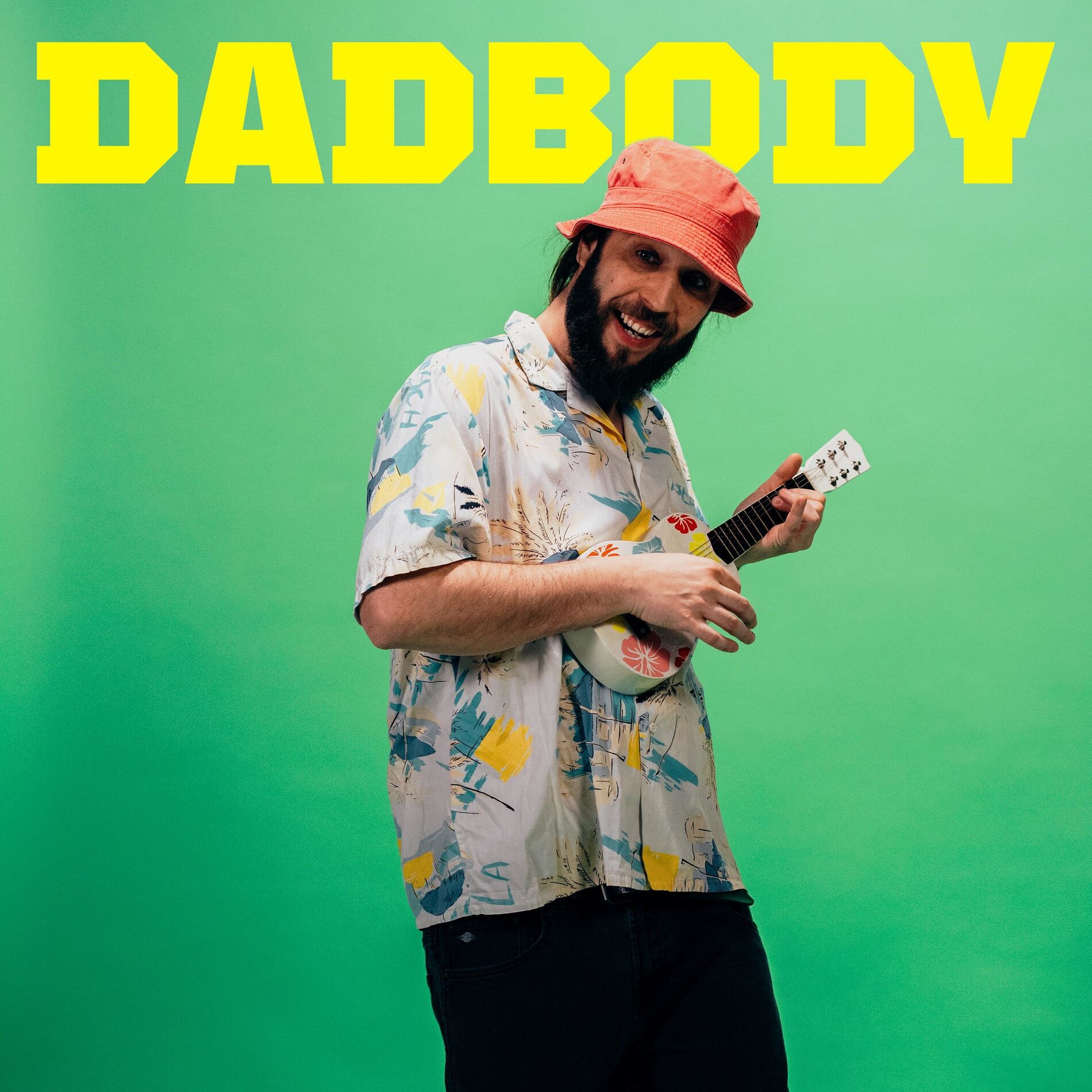 Album cover of Dadbody