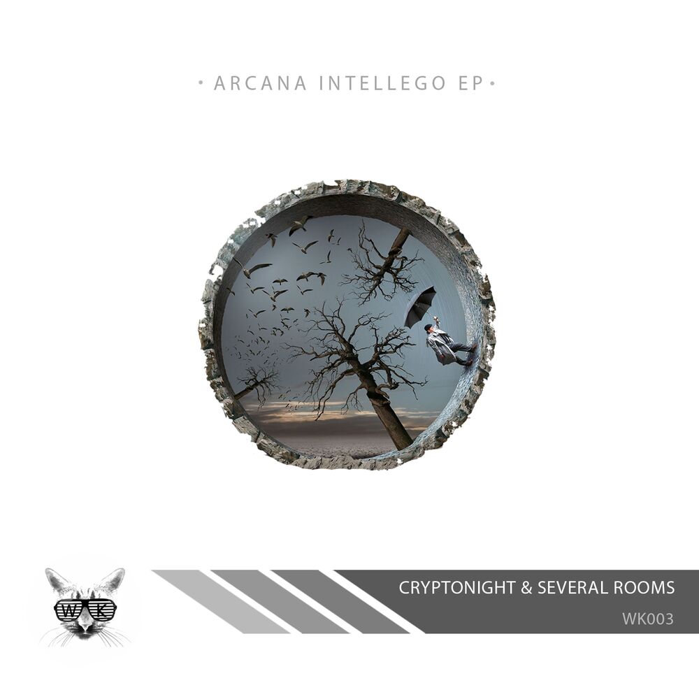 Picture of Arcana Intellego