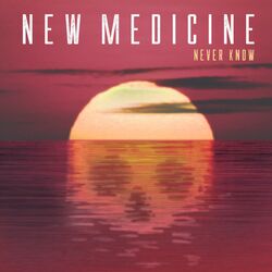 Cover of Never Know