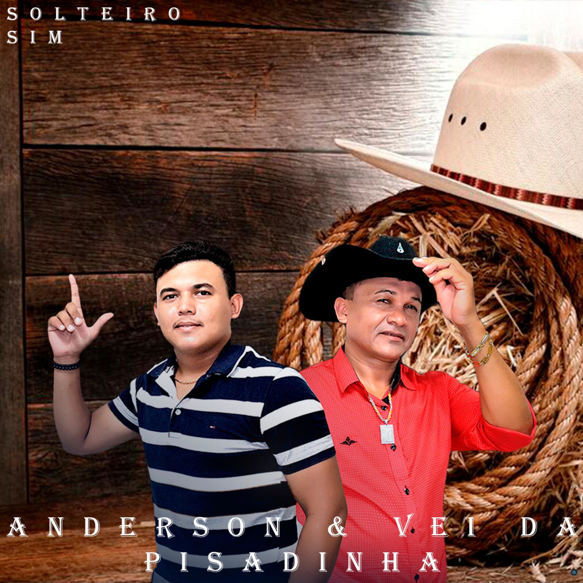Album cover of Solteiro Sim