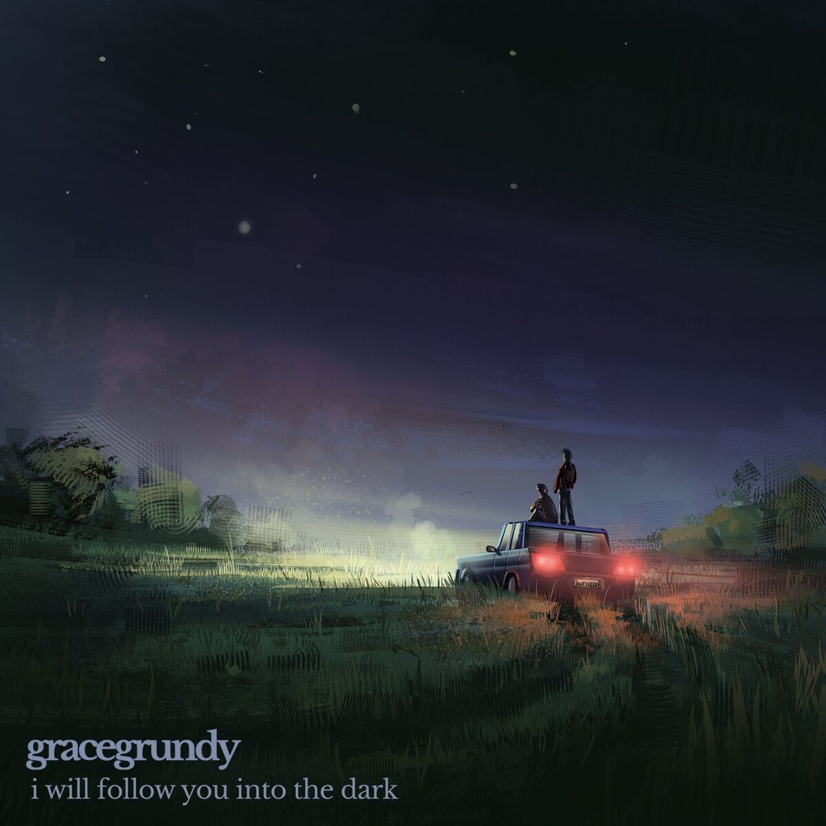 Album cover of I Will Follow You Into The Dark
