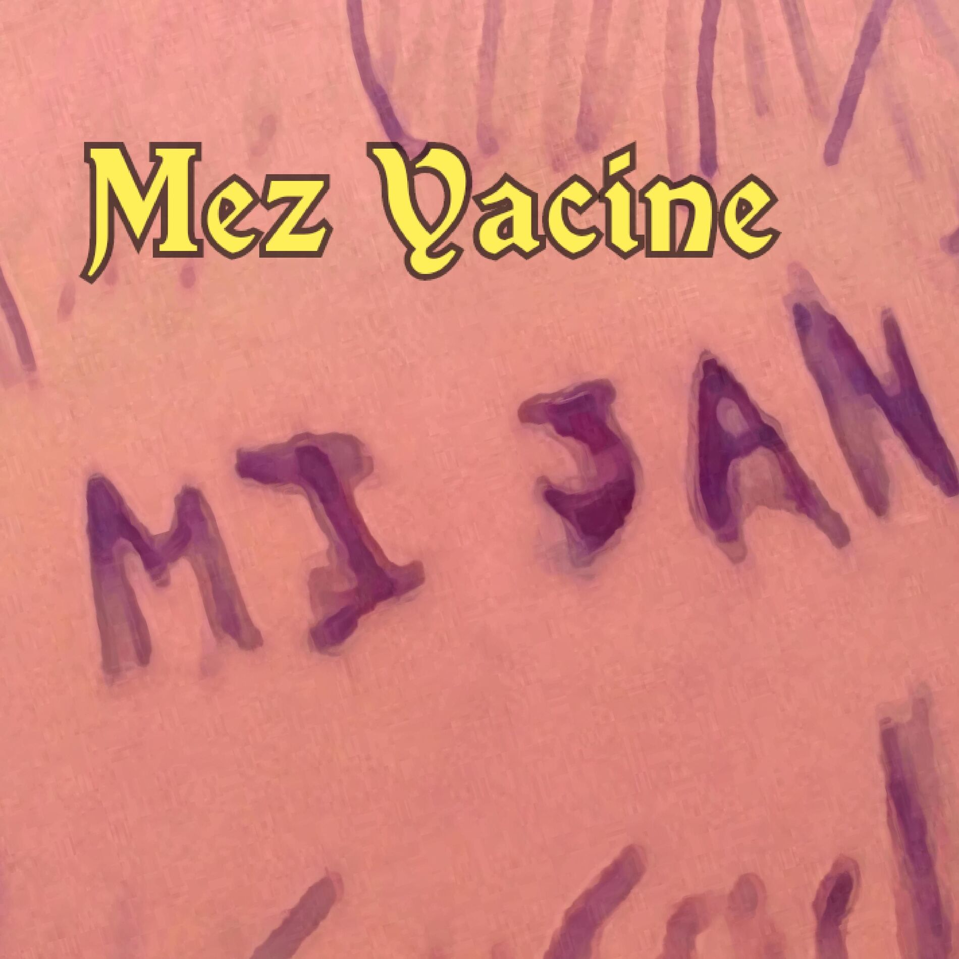 Album cover of Mi Jan
