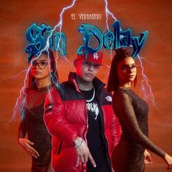 Cover of Sin Delay