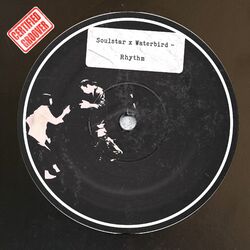 Cover of Rhythm