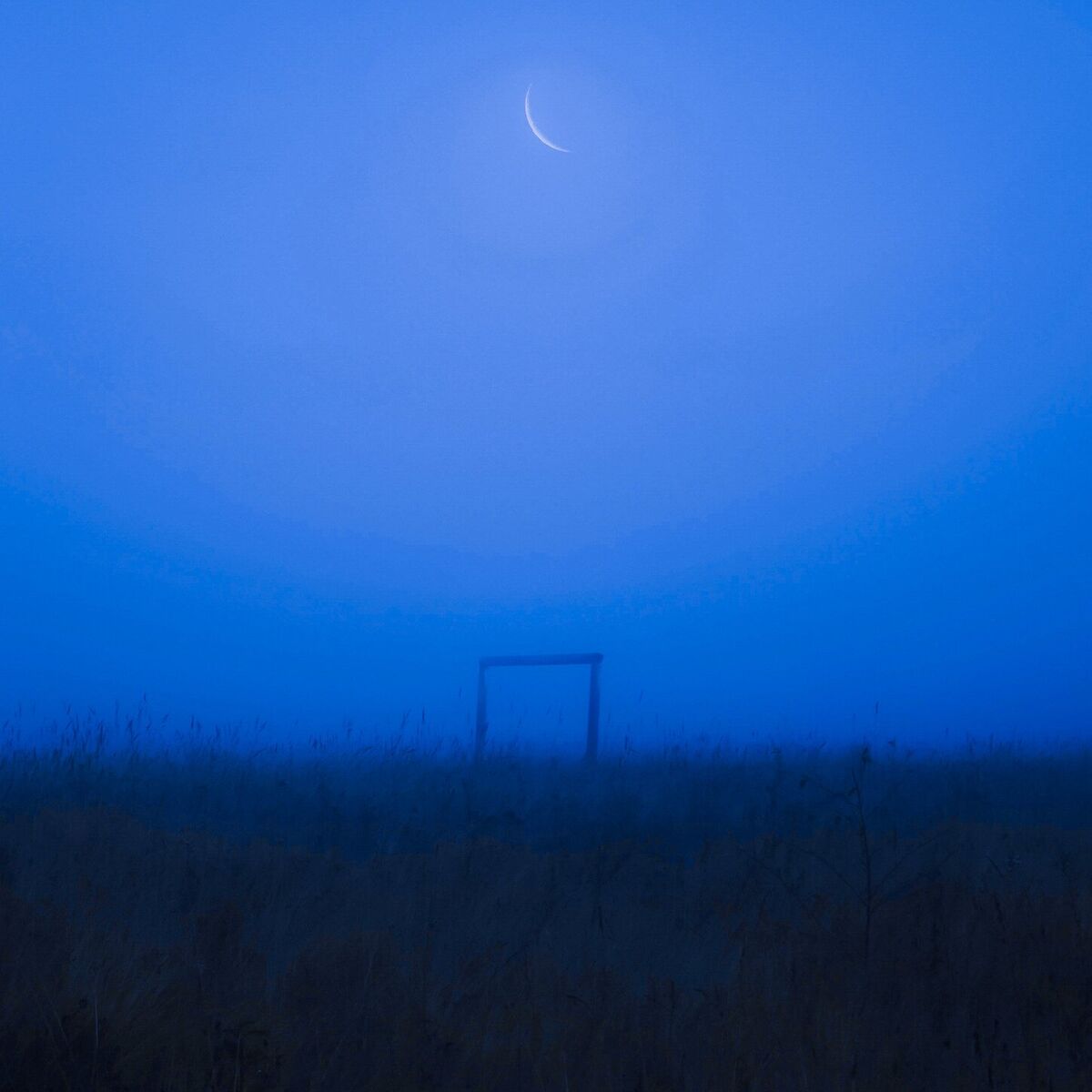 Album cover of for you i would