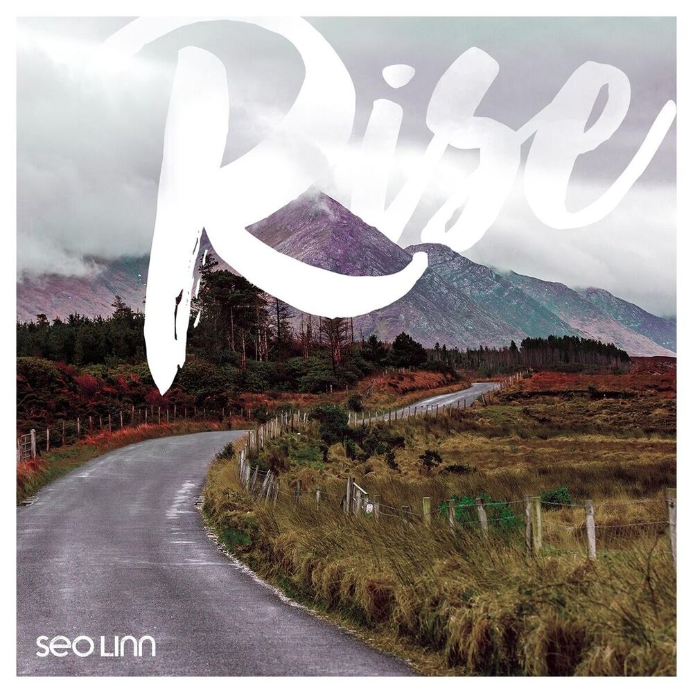 Picture of Rise (Remix)