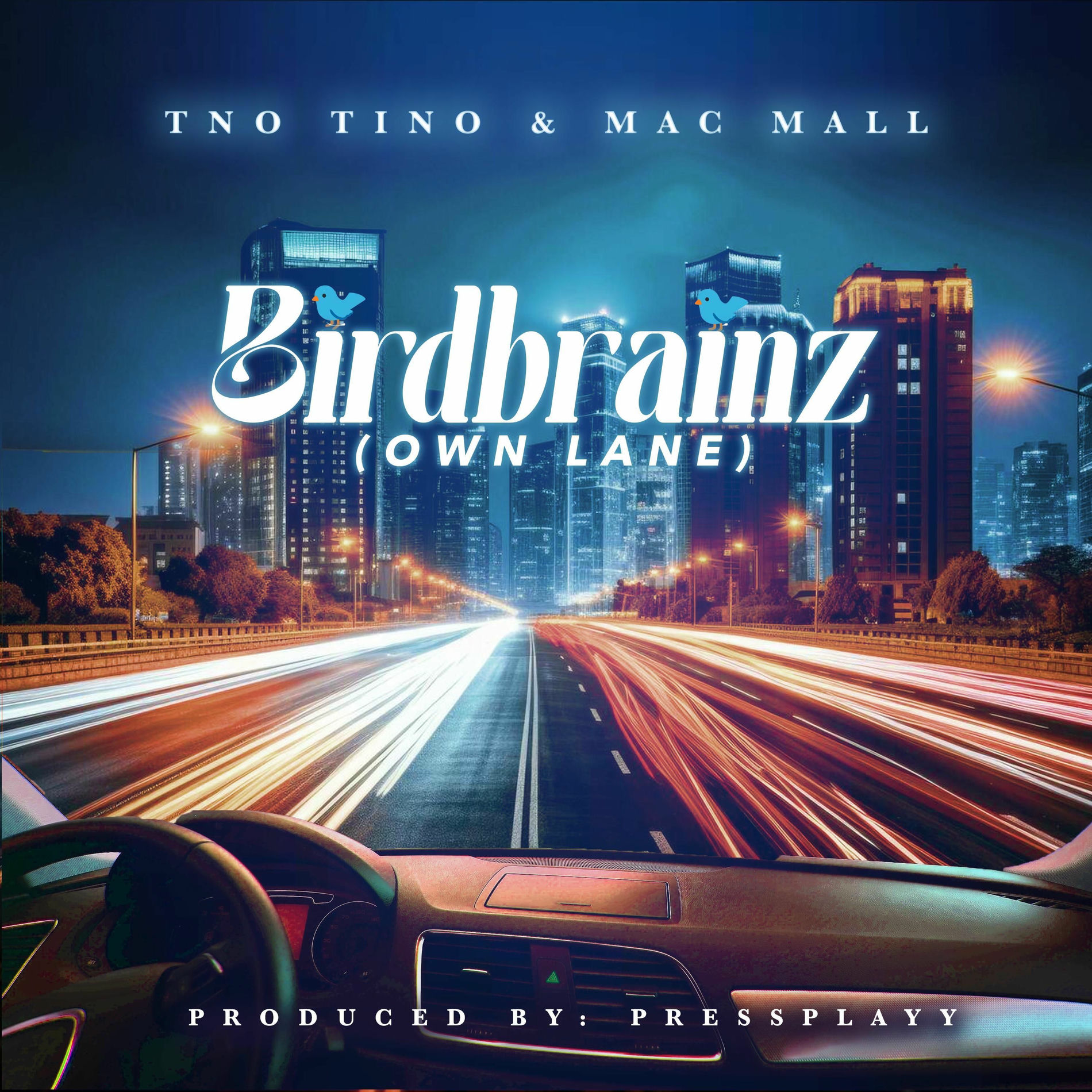 Album cover of Birdbrainz (Own Lane)