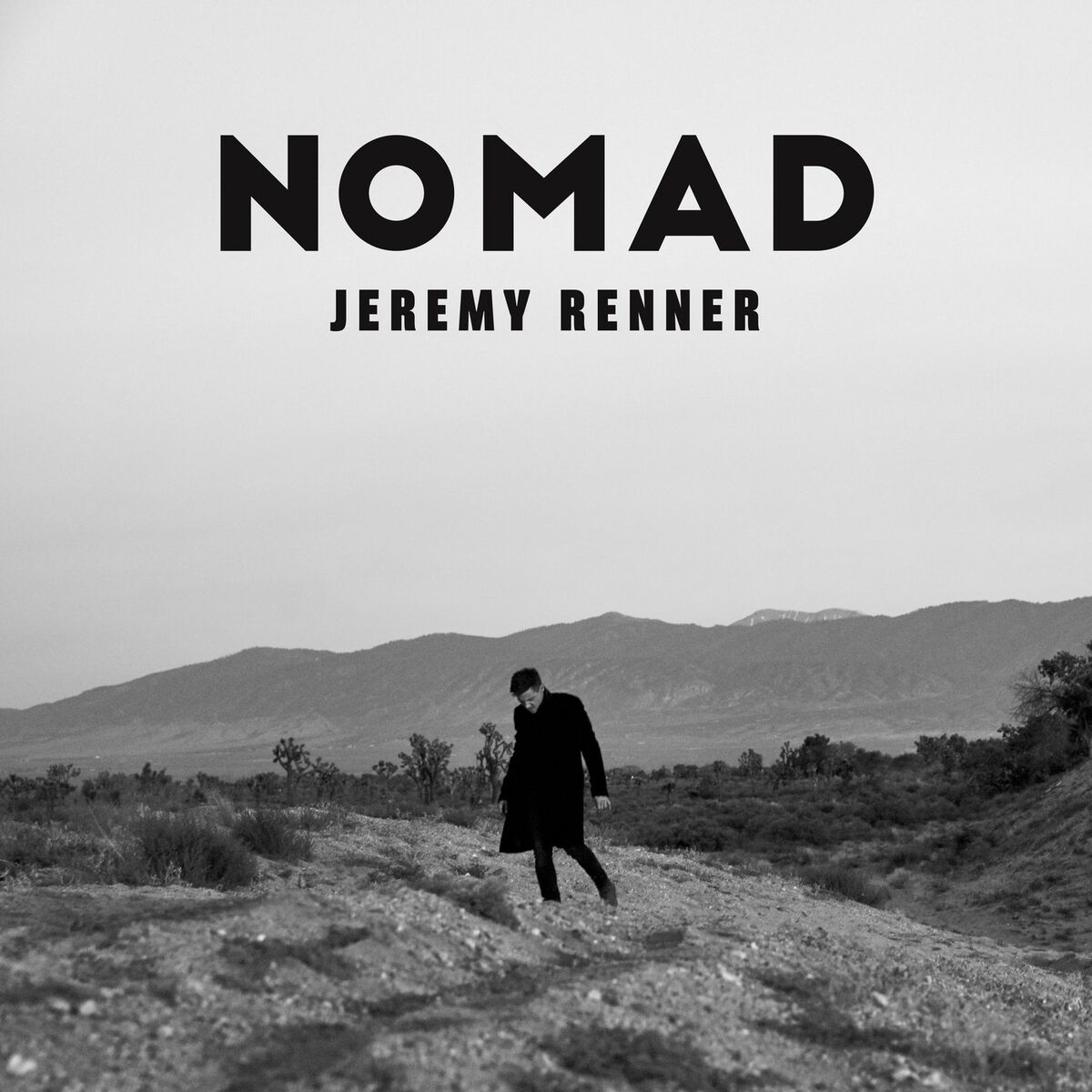 Album cover of Nomad