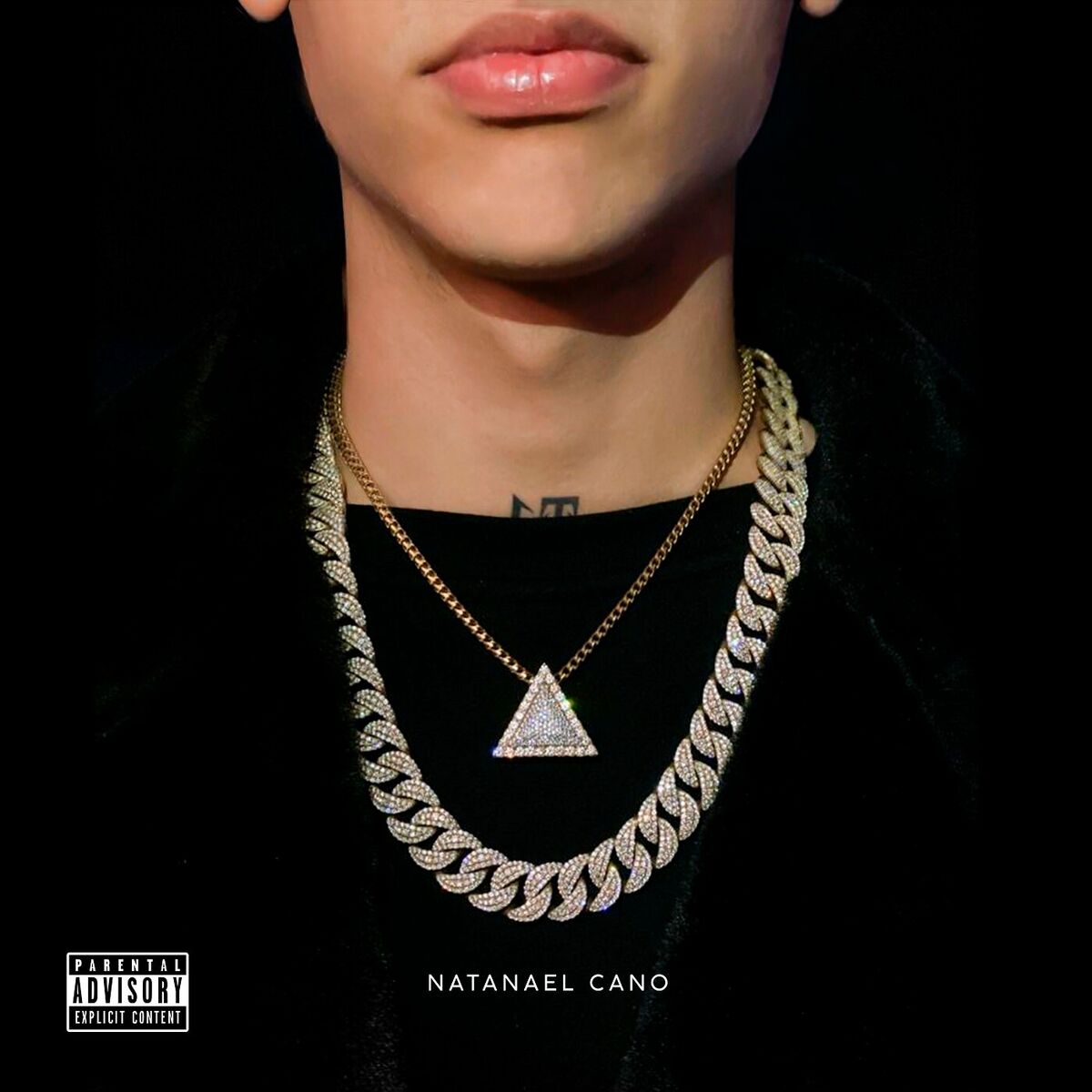Album cover of Amor Tumbado