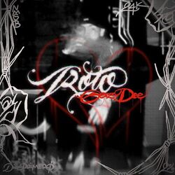 Cover of ROTO