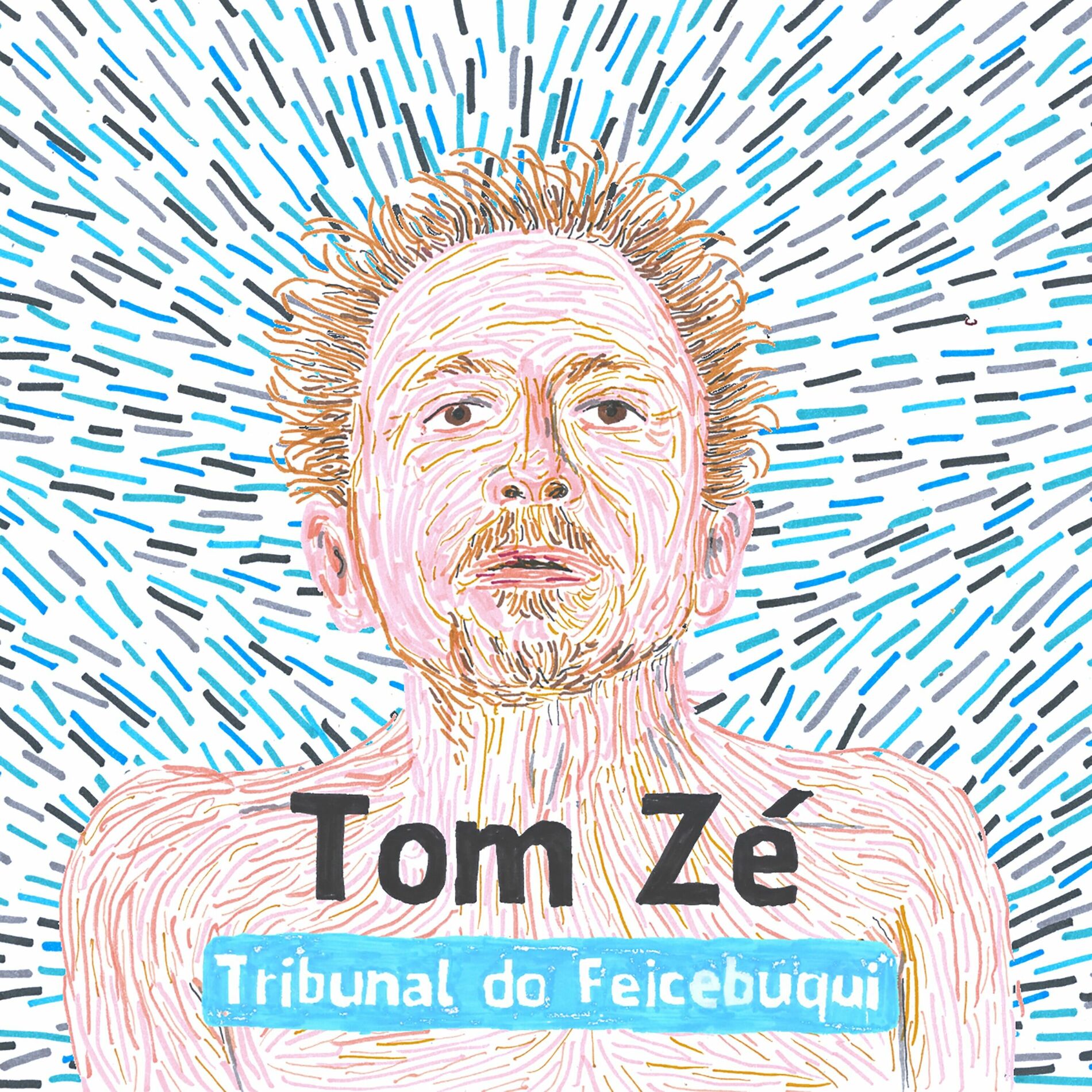 Album cover of Papa Francisco, Perdoa Tom Zé