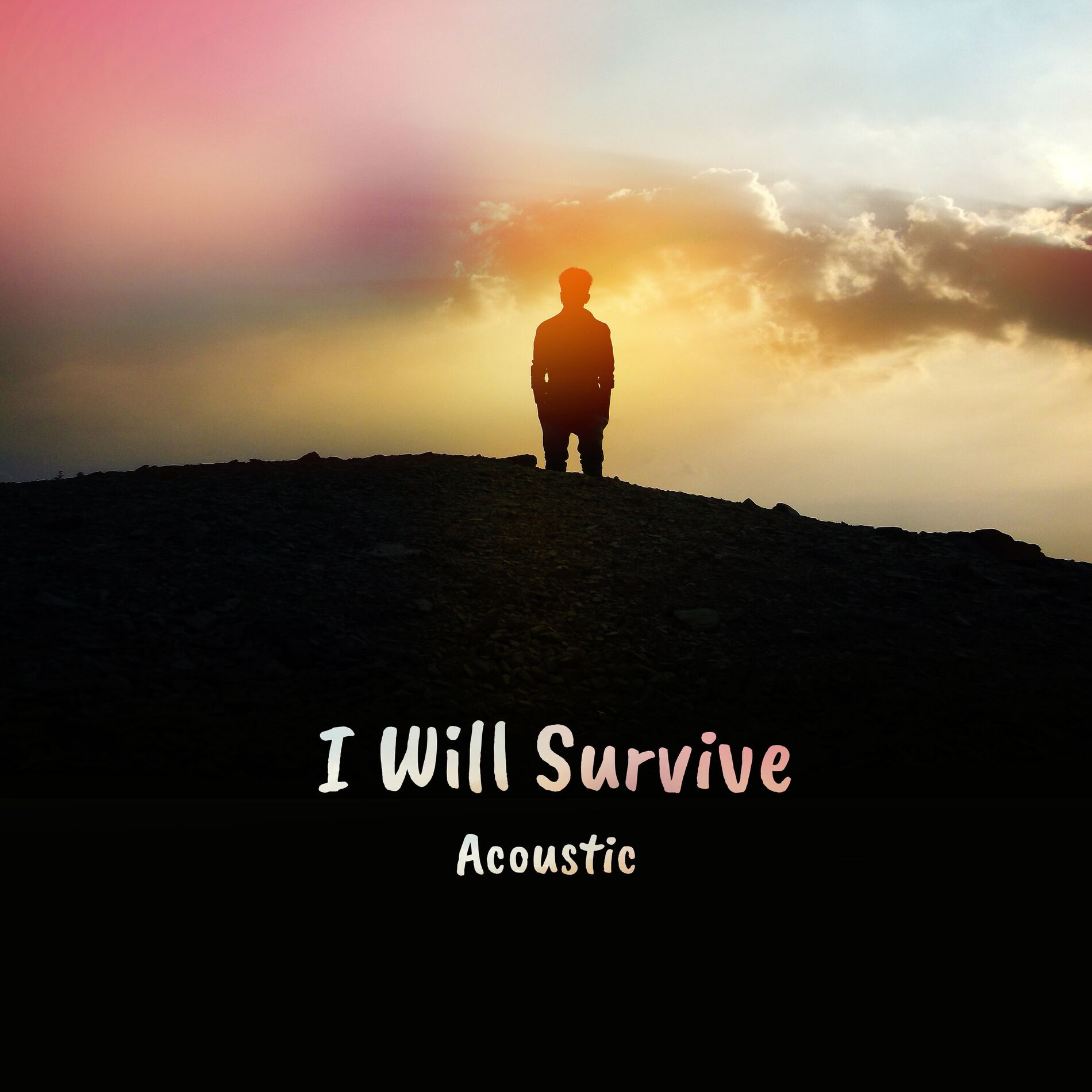 Album cover of I Will Survive