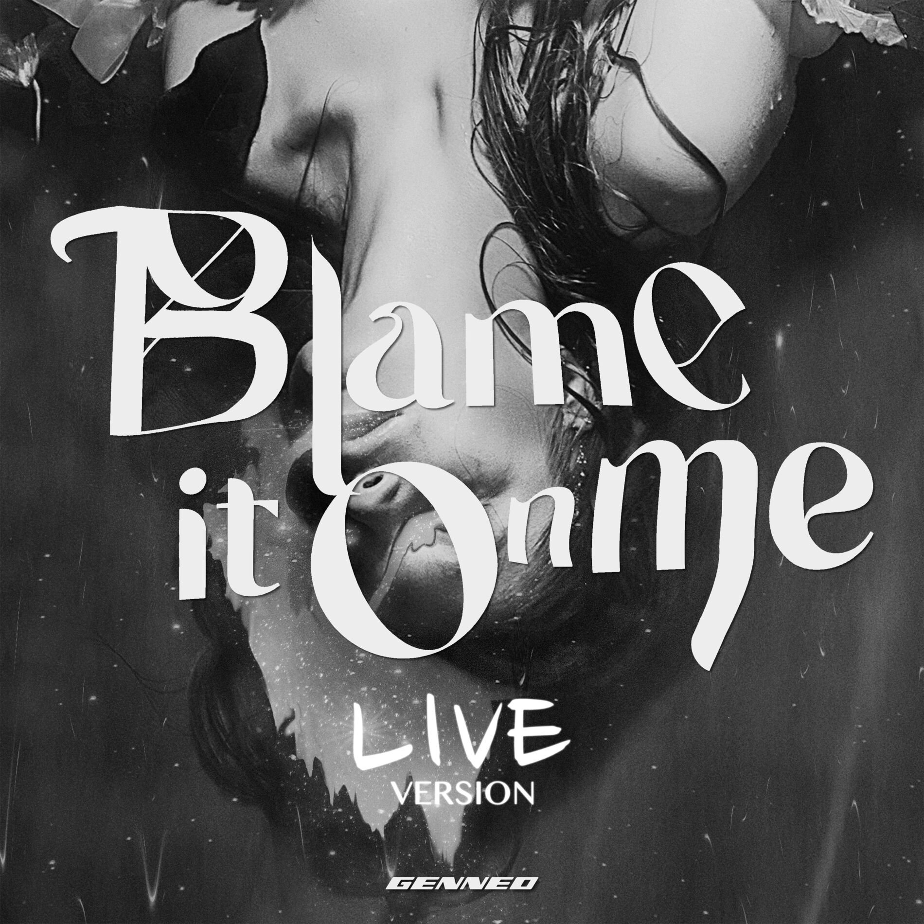 Album cover of Blame It On Me