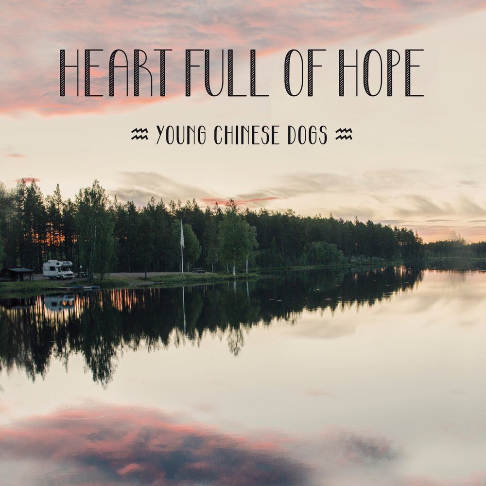 Picture of Heart Full of Hope
