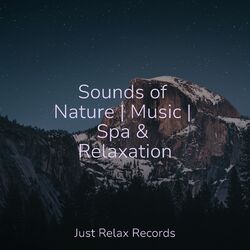 Cover of Sounds of Nature | Music | Spa & Relaxation