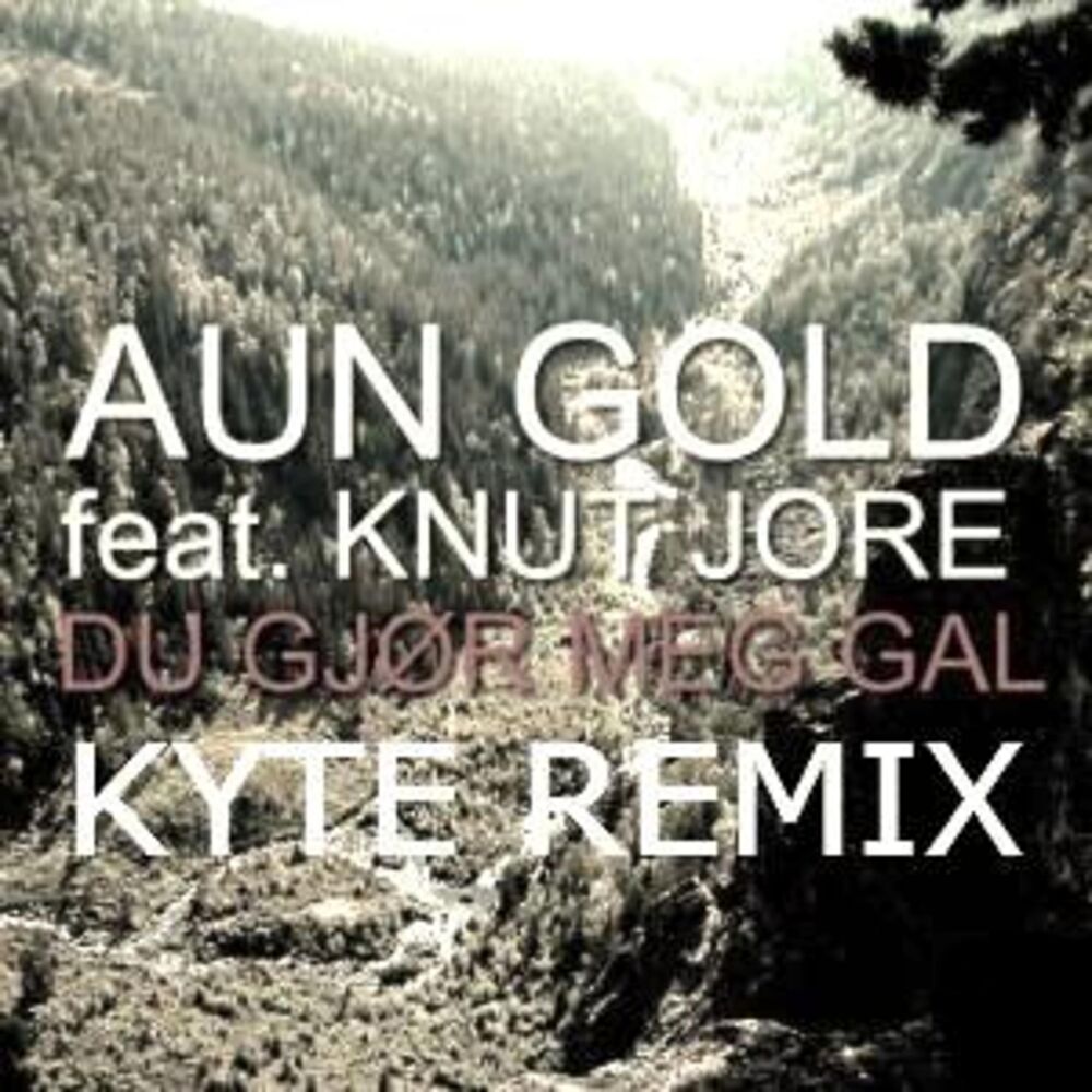Picture of Du Gjør Meg Gal (Kyte Remix)