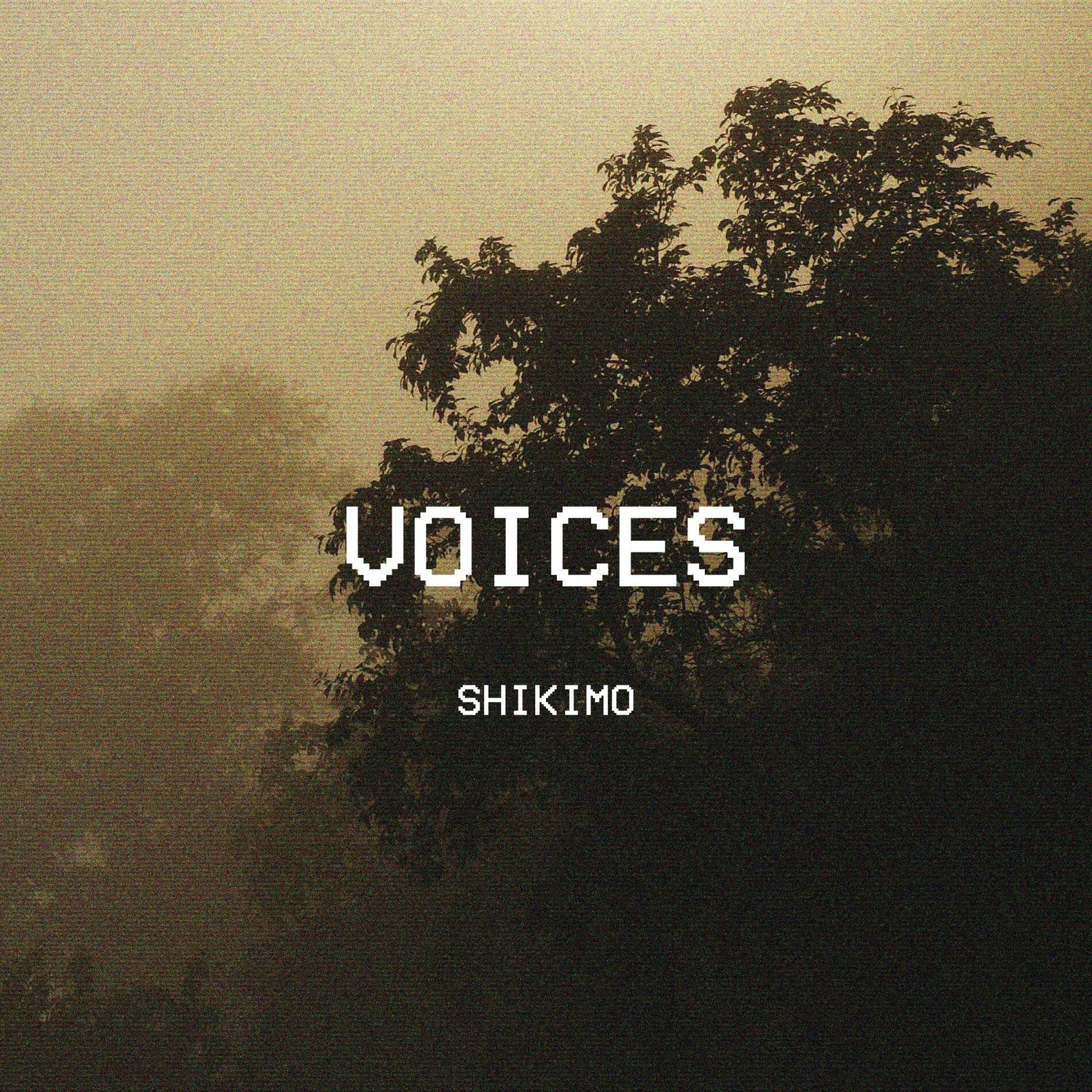 Album cover of Voices