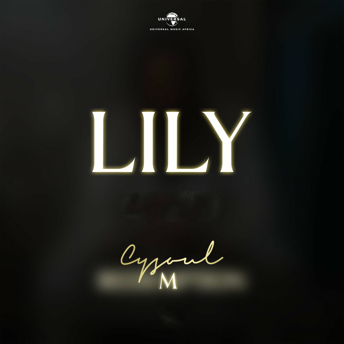Album cover of Lily