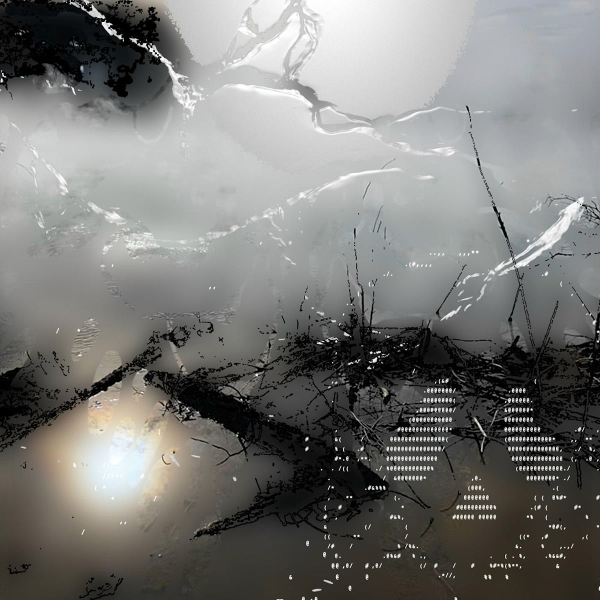 Album cover of Ascent
