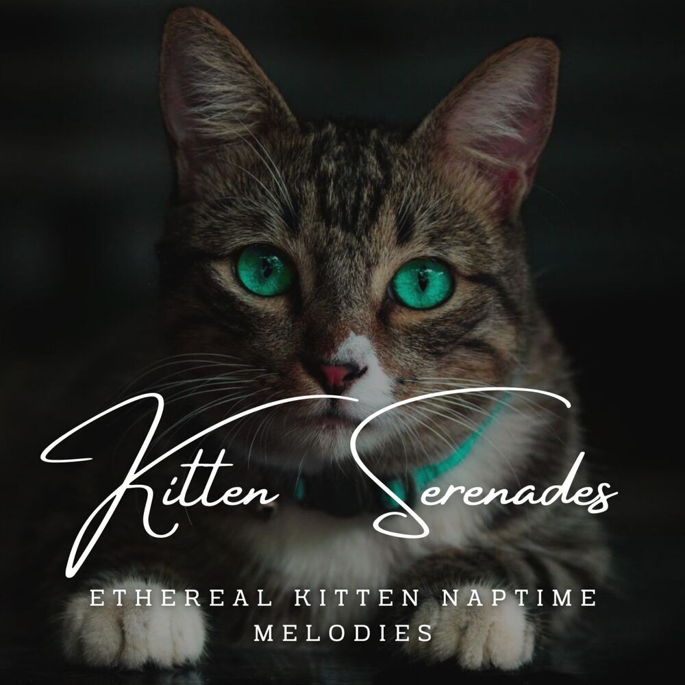 Picture of Kitten Serenades: Meditative Piano for Curious Whiskers