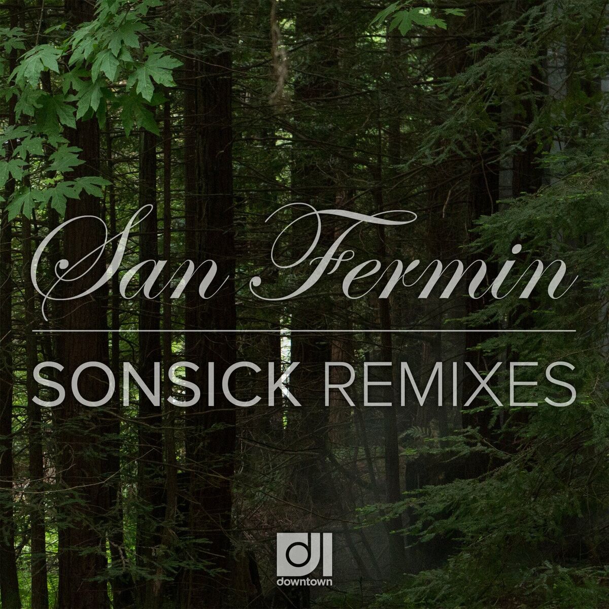 Album cover of Sonsick Remixes