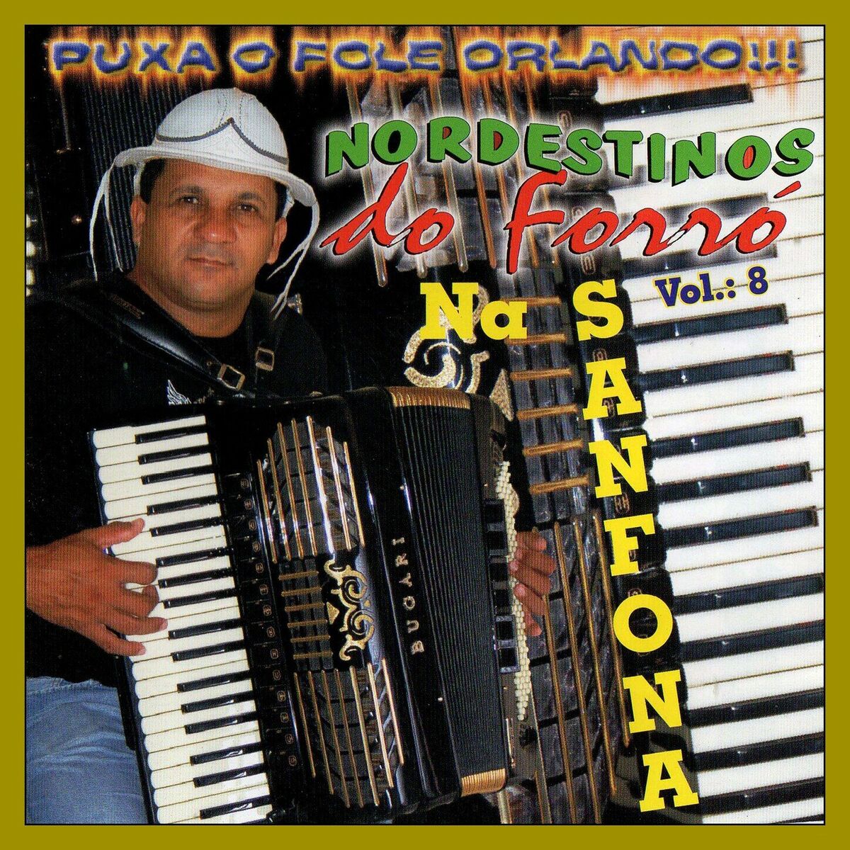 Album cover of Puxa o Fole Orlando - Vol. 8