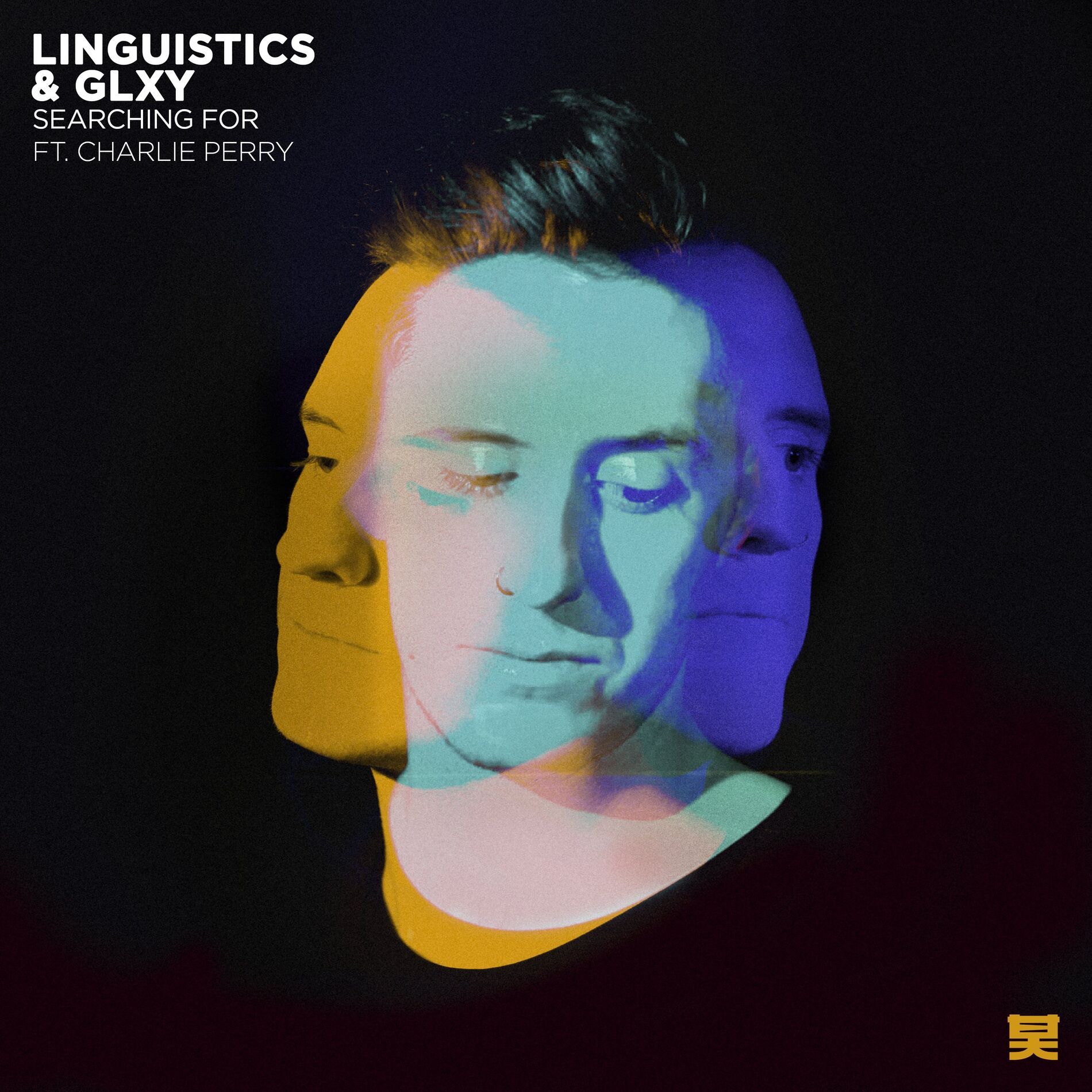 Album cover of Searching For