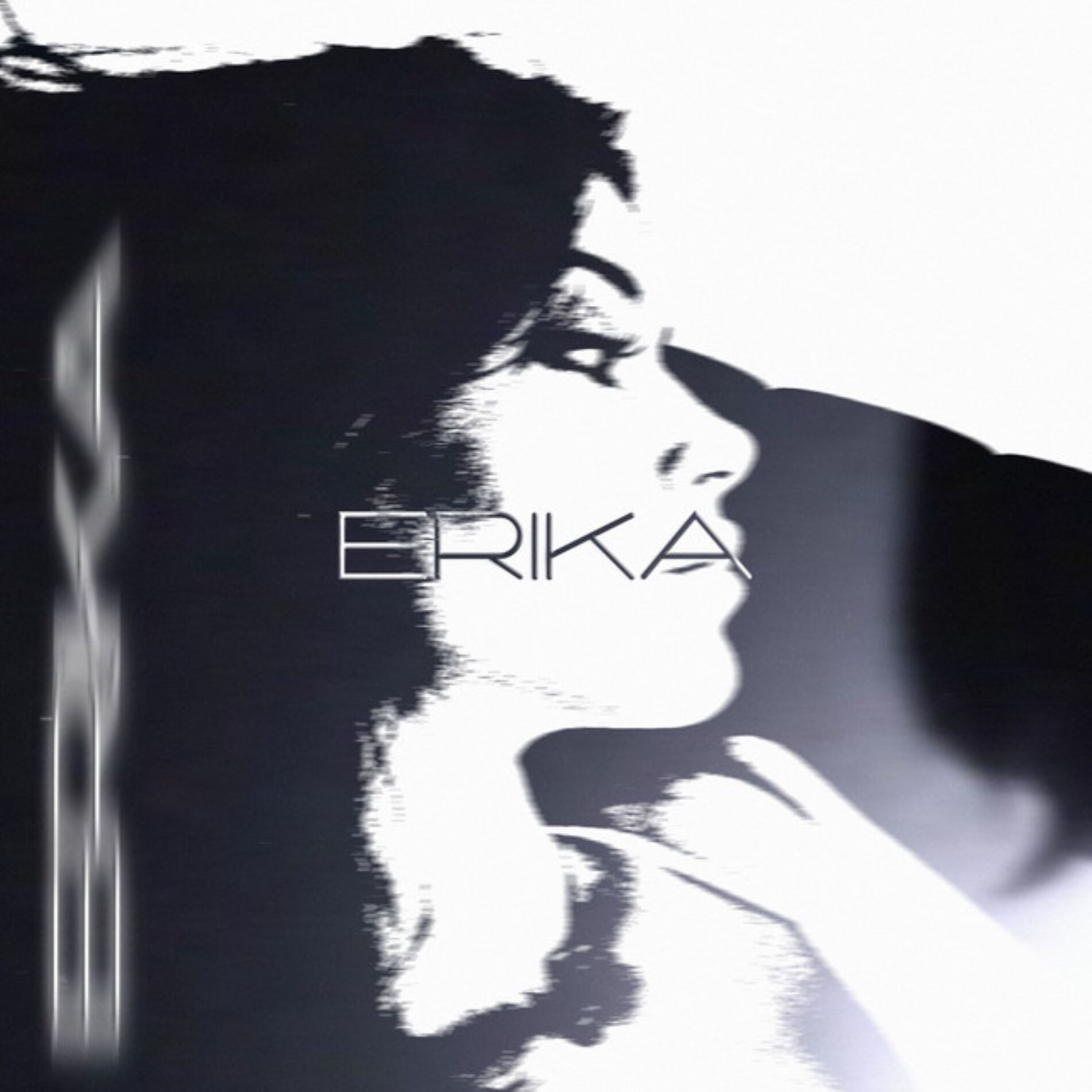 Album cover of ERIKA HARDSTYLE