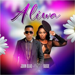 Cover of Aliwa