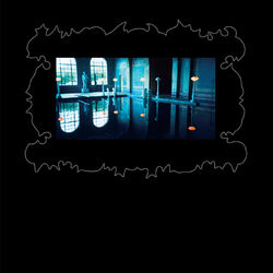 Cover of The For Carnation